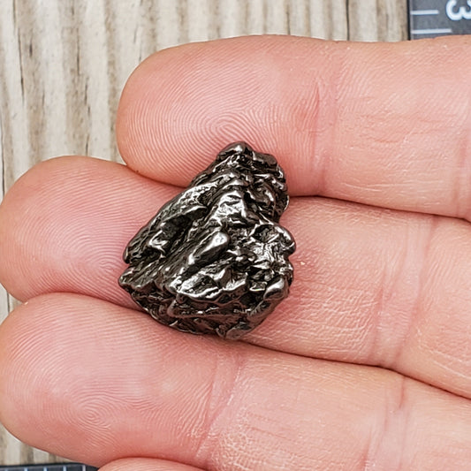 Meteorite Specimen | Campo Del Cielo | R3