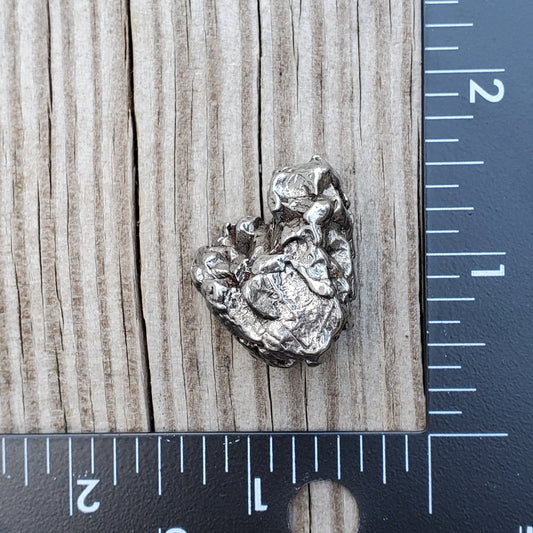Meteorite Specimen | Campo Del Cielo | S2