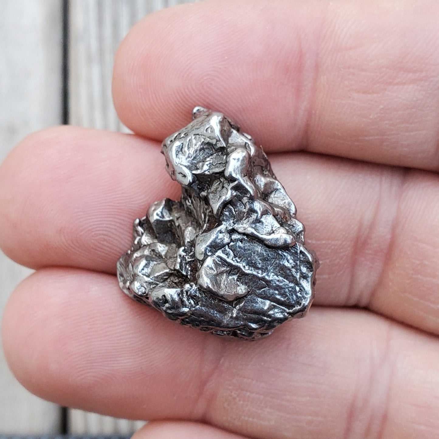 Meteorite Specimen | Campo Del Cielo | S2