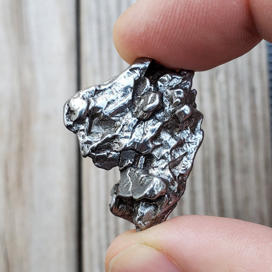 Meteorite Specimen | Campo Del Cielo | S2