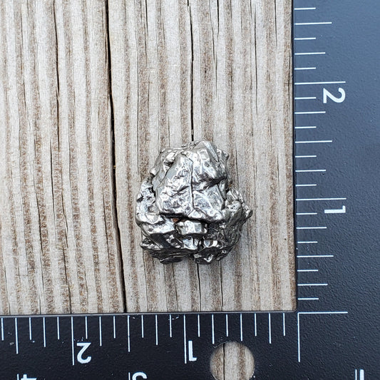 Meteorite Specimen | Campo Del Cielo | S5