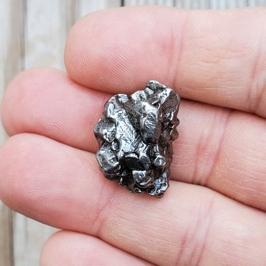 Meteorite Specimen | Campo Del Cielo | Q2