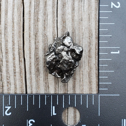 Meteorite Specimen | Campo Del Cielo | Q4