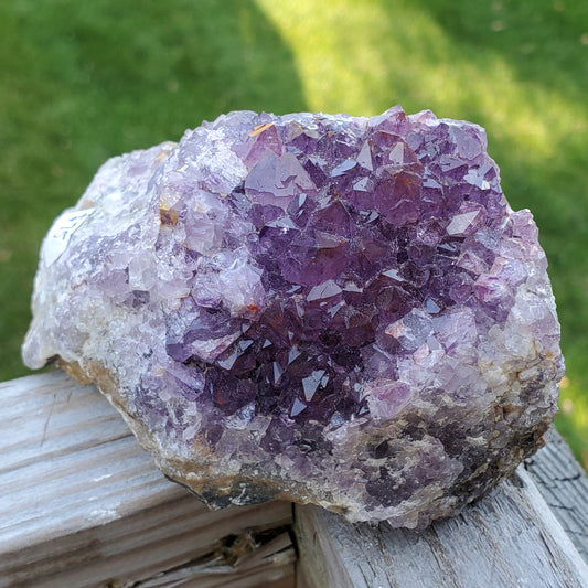 Amethyst Cluster Medium Thunder Bay