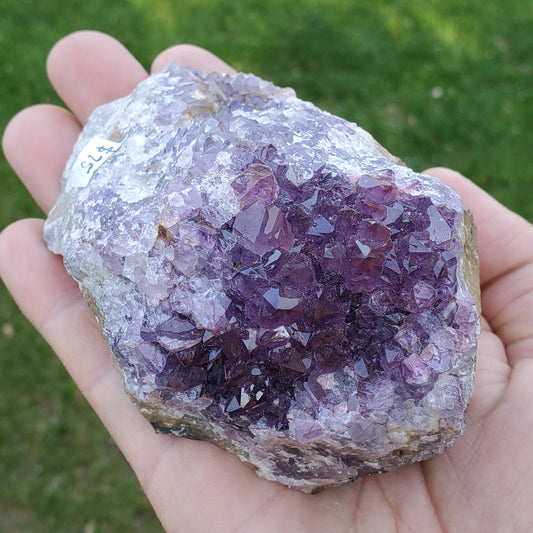 Amethyst Cluster Medium Thunder Bay