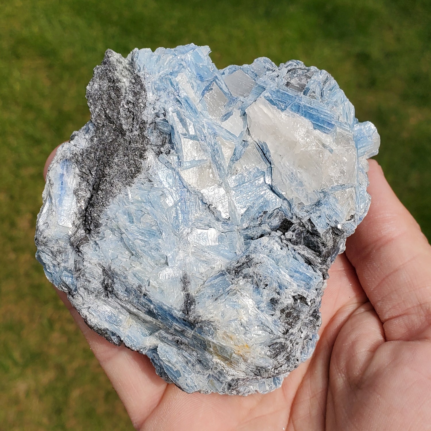 Aqua Blue Kyanite Clusters | 4 LB Box - The Meteorite Traders