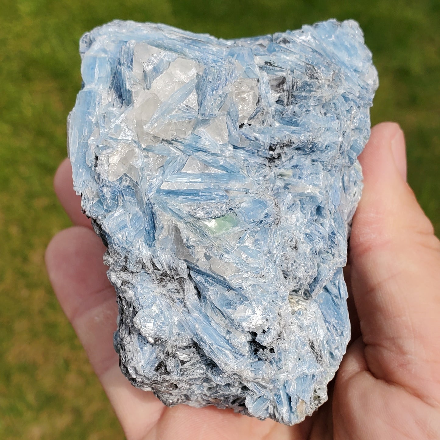 Aqua Blue Kyanite Cluster AQKY2