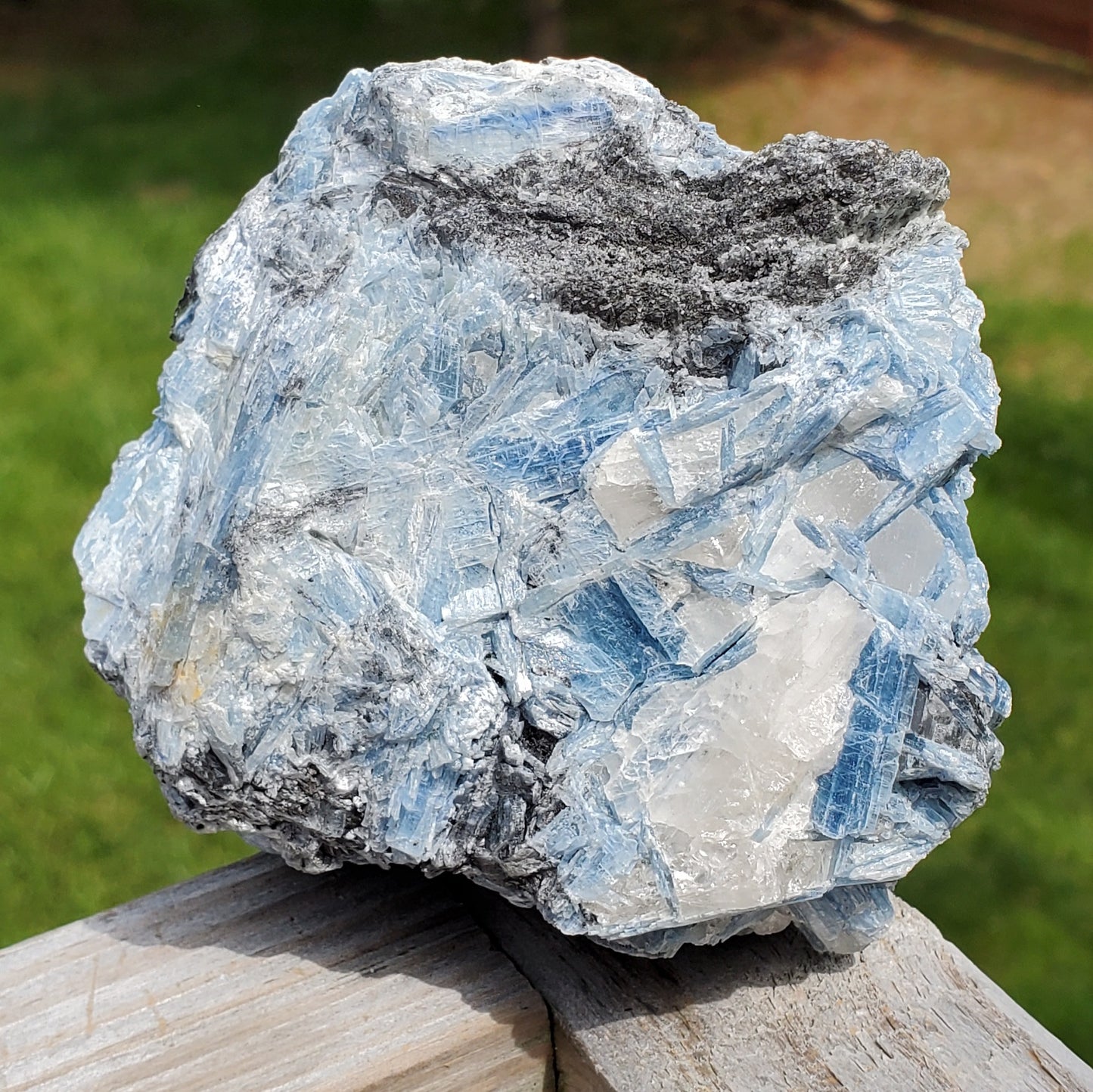 Aqua Blue Kyanite Cluster AQKY2