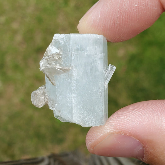 Superb Aquamarine Crystal Specimen AQ6