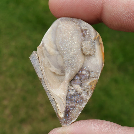 Spiralite Druzy Fossil Specimen SP16