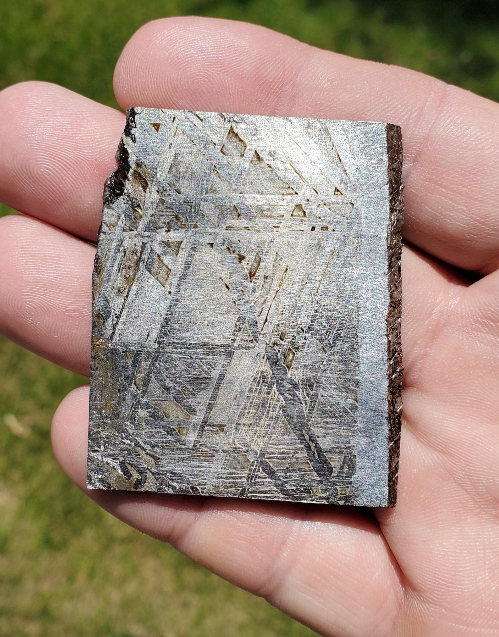 Superb Etched Meteorite Slice Sweden