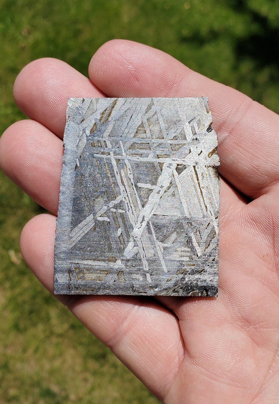 Superb Etched Meteorite Slice Sweden