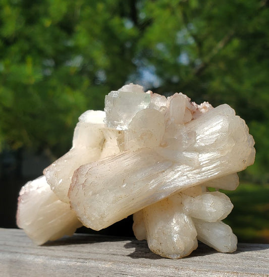 Superb Stilbite with Apophyllite Cluster | AP19