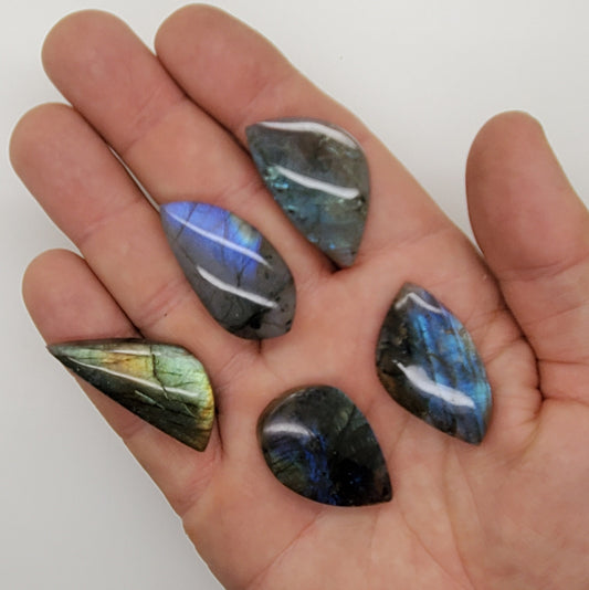 Labradorite Cabochons | Lot of 5 | Large Free Form Shapes