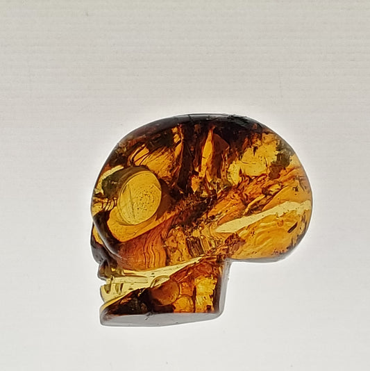 Skull Amber Carving Profile Cabochon