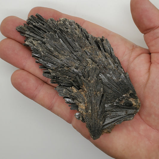 Large Black Kyanite Specimen