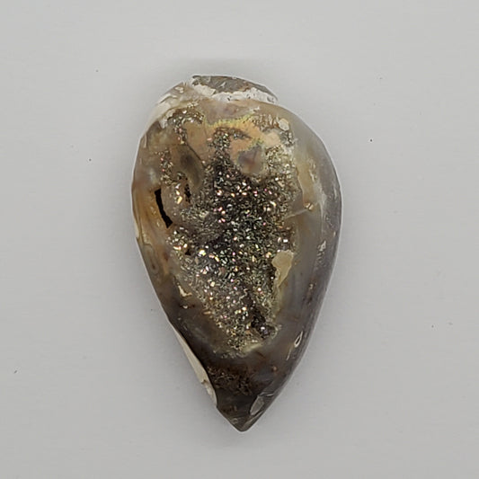 Gold Aura Spiralite Fossil