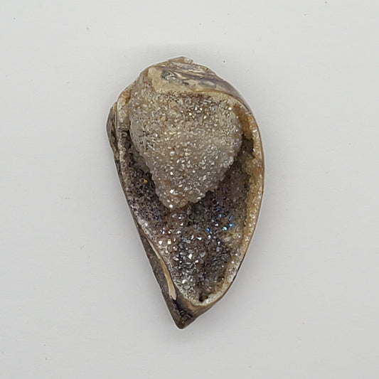 Spiralite Aura Druze Fossil