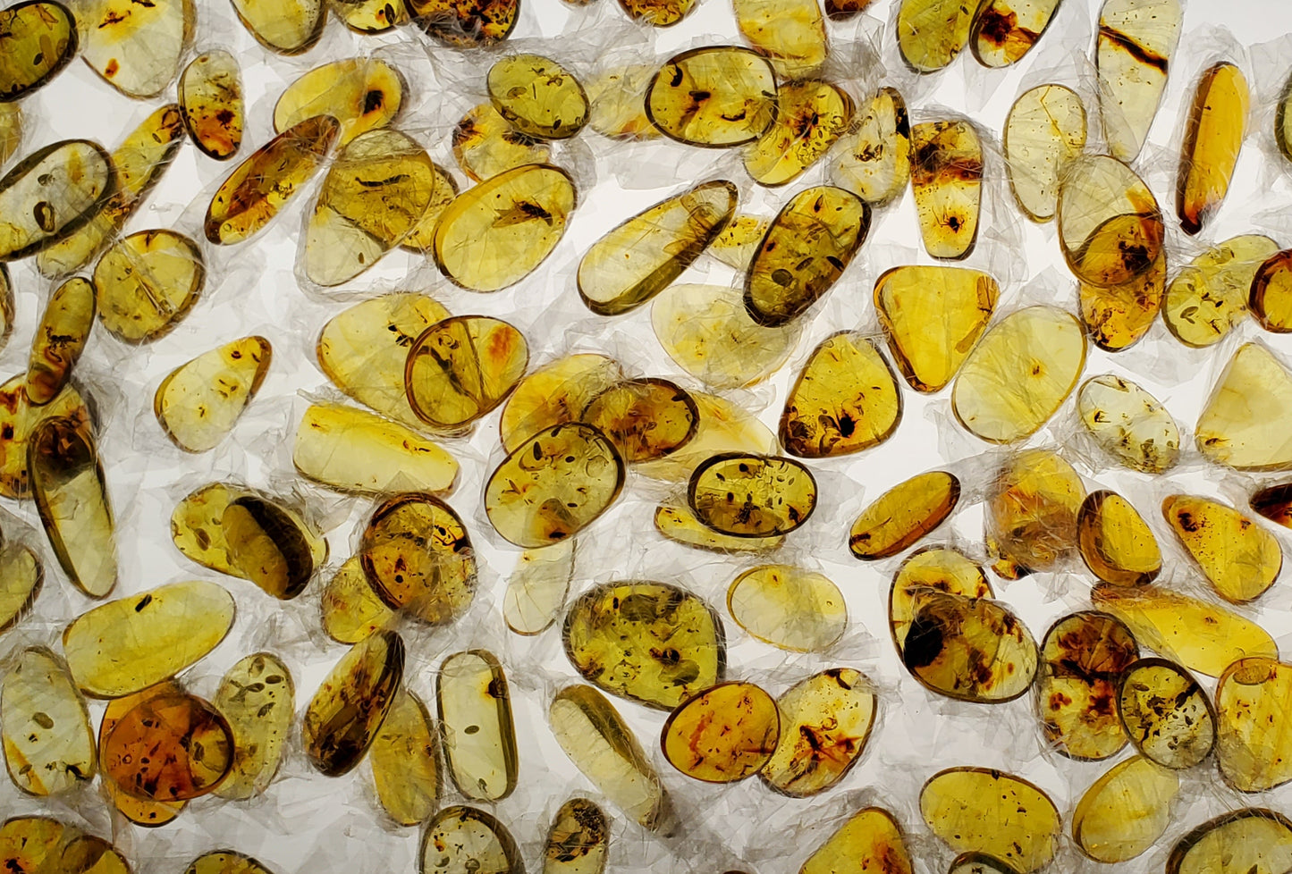 10 Small Amber Specimens with Insect Inclusions