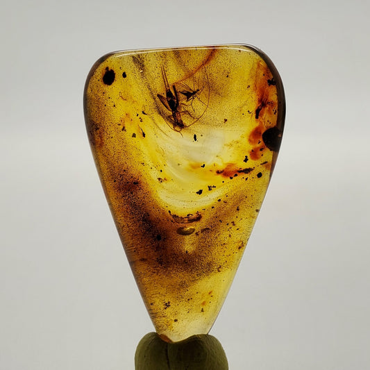 Colombian Amber with 3+ Insects and Inclusions