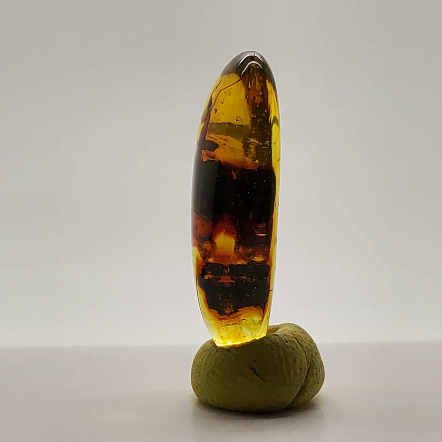 Superb Amber with Insect Inclusion