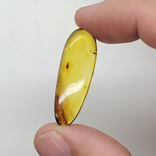 Colombian Amber with Insect and Inclusions