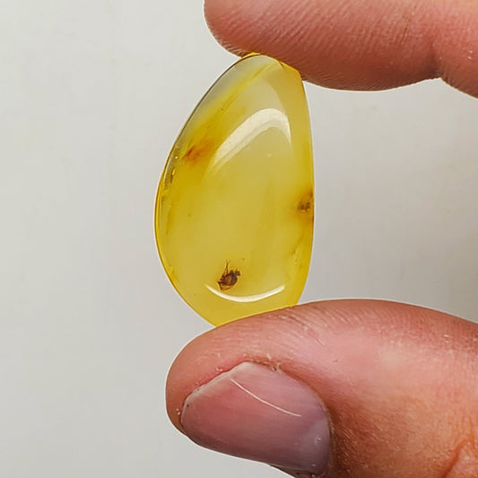 Amber with Inclusions