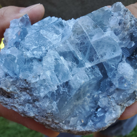 Celestite Cluster Medium