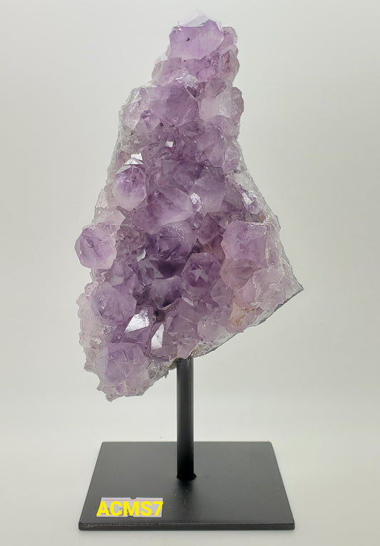 Amethyst Cluster Medium on Stand