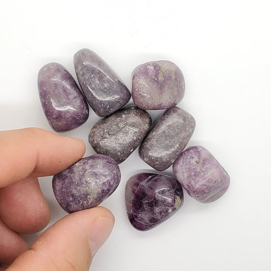 Lepidolite Tumbled Gemstone 1 pound