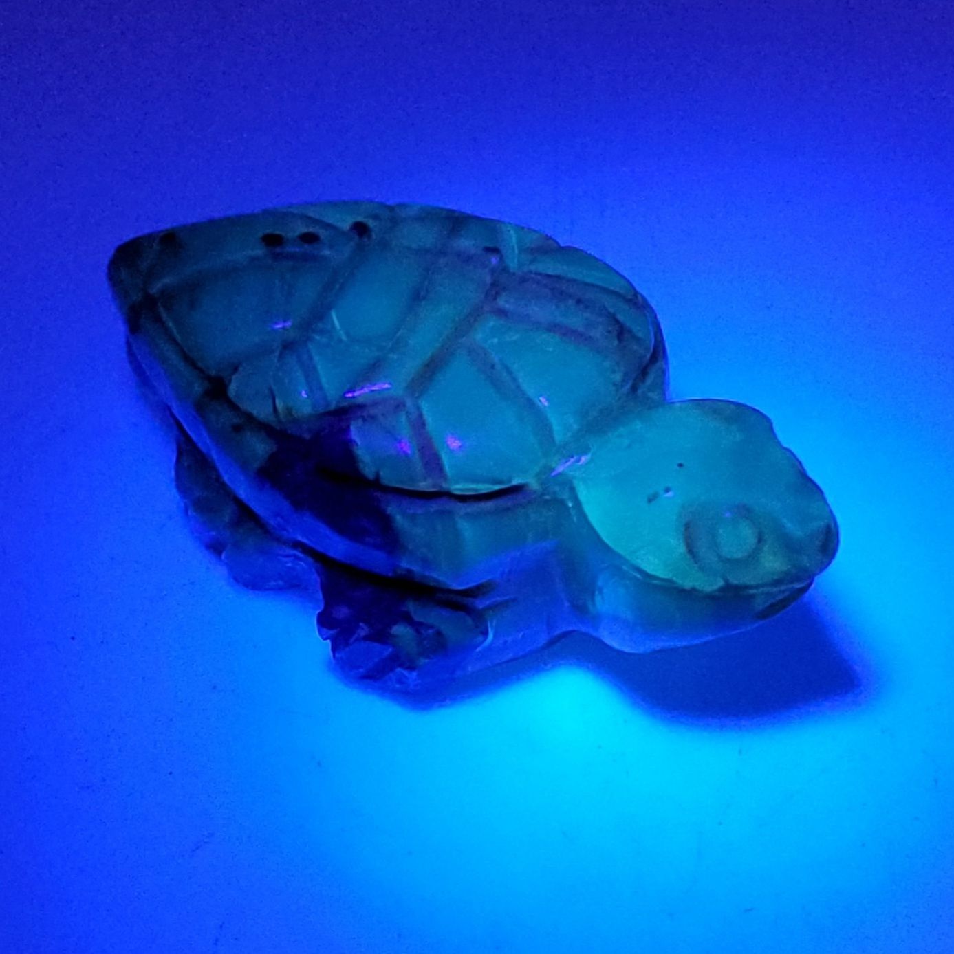 Amber turtle carving mac5-5