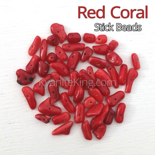Red Coral Small Nugget Beads Kyanite king