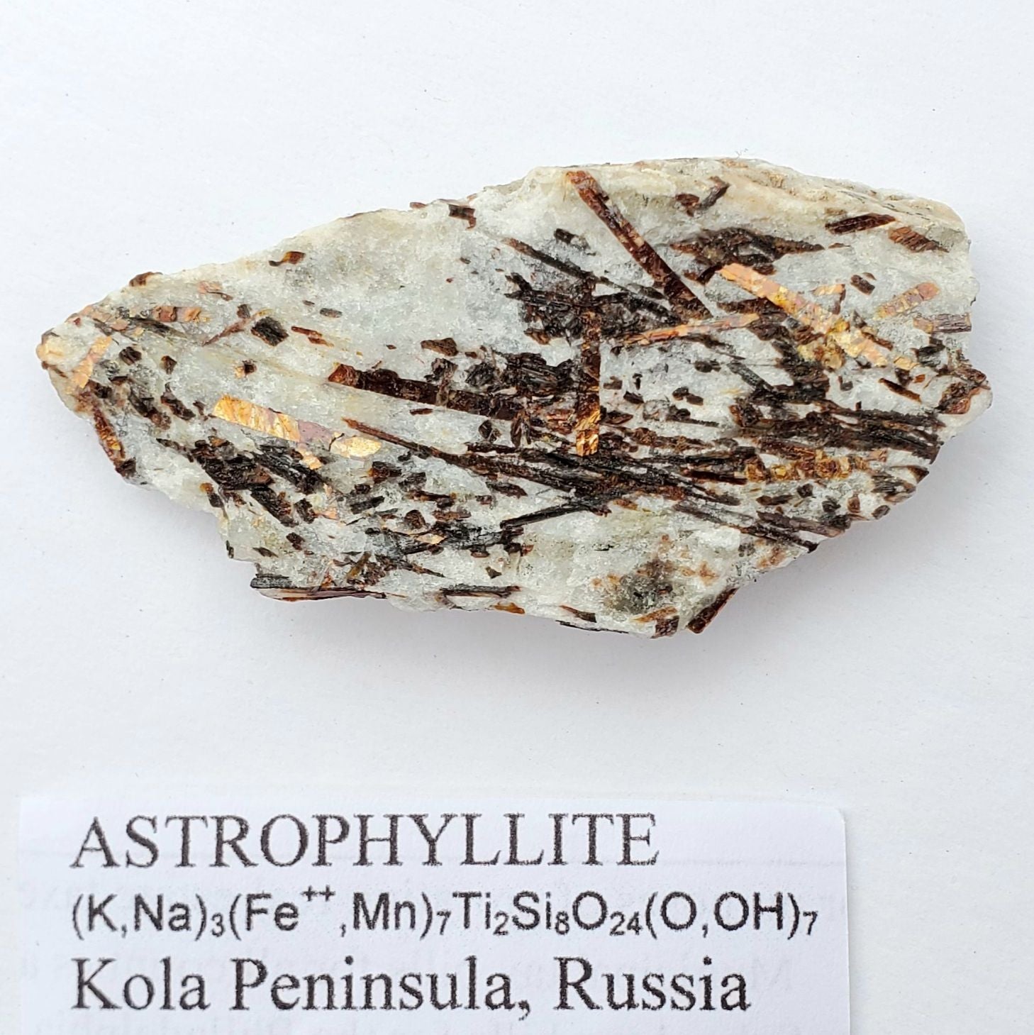 astrophyllite-8-1