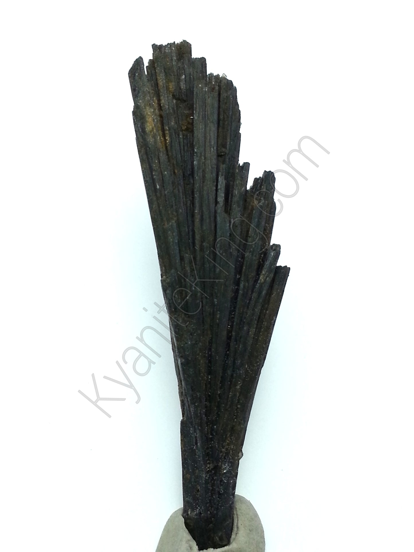 Black Kyanite Specimens 3 Pieces