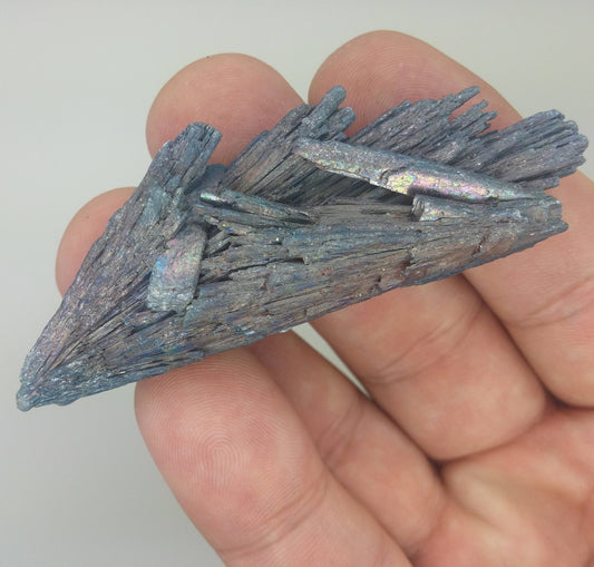 Black Kyanite Aura Specimen | Metaphysical | Opalized | Wire Wrapping | 1C