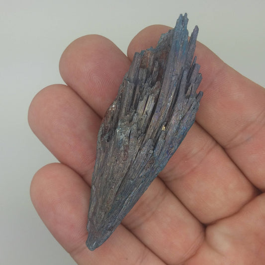 Black Kyanite Aura Specimen | Metaphysical | Opalized | Wire Wrapping | 1F