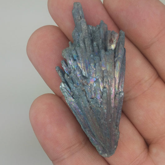 Black Kyanite Aura Specimen | Metaphysical | Opalized | Wire Wrapping | 1K