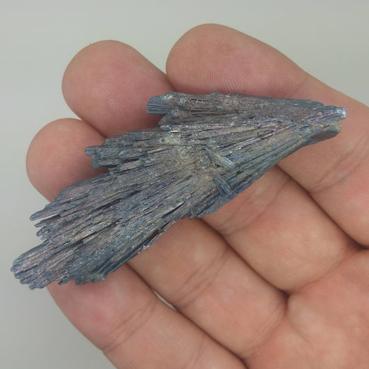 Black Kyanite Aura Specimen | Metaphysical | Opalized | Wire Wrapping | 1C