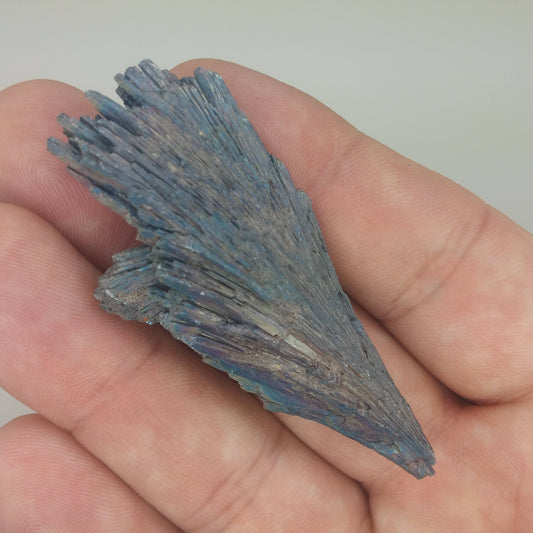 Black Kyanite Aura Specimen | Metaphysical | Opalized | Wire Wrapping | 1D