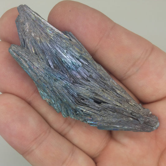 Black Kyanite Aura Specimen | Metaphysical | Opalized | Wire Wrapping | 1E