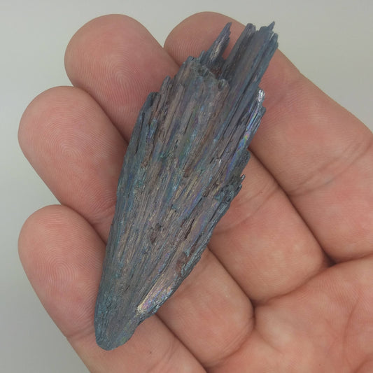 Black Kyanite Aura Specimen | Metaphysical | Opalized | Wire Wrapping | 1F