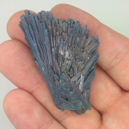 Black Kyanite Aura Specimen | Metaphysical | Opalized | Wire Wrapping | 1H