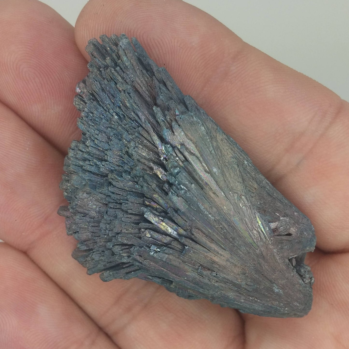 Black Kyanite Aura Specimen | Metaphysical | Opalized | Wire Wrapping | 1H