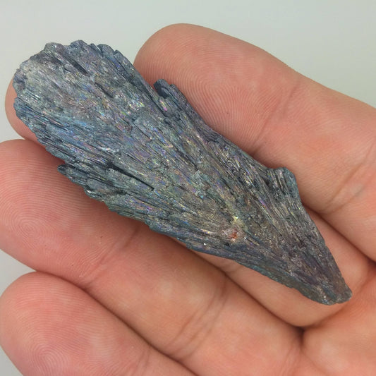 Black Kyanite Aura Specimen | Metaphysical | Opalized | Wire Wrapping | 1I
