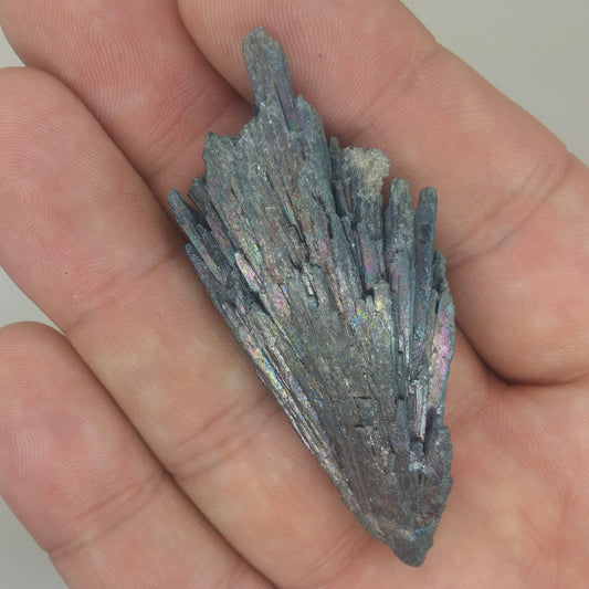 Black Kyanite Aura Specimen | Metaphysical | Opalized | Wire Wrapping | 1K