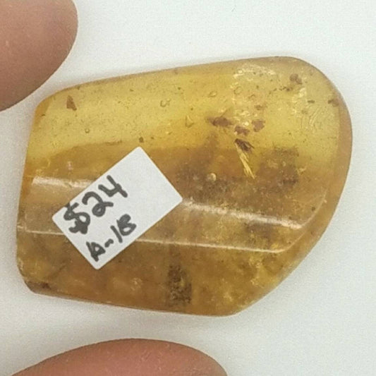 AMBER | Colombia | Polished A-18 | Fossil | Metaphysical |Bugs and Inclusions