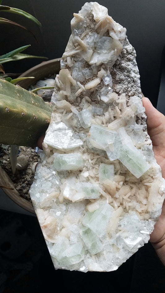 Green Apophyllite with Heulandite- Geode Cluster