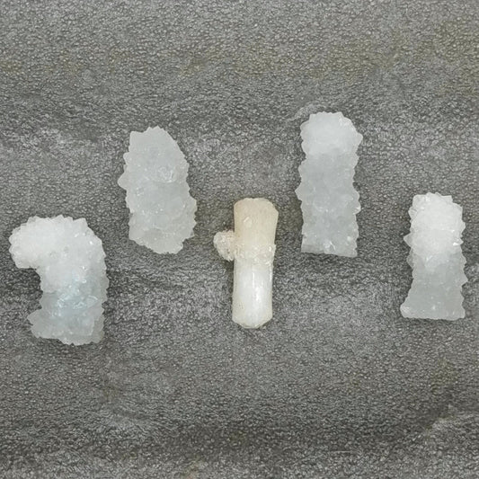 APOPHYLLITE 5Pc | Crystal specimens | LotAPO1