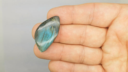 Parrot Wing LABRADORITE Cabochon | LARGE FREEFORM #lab3