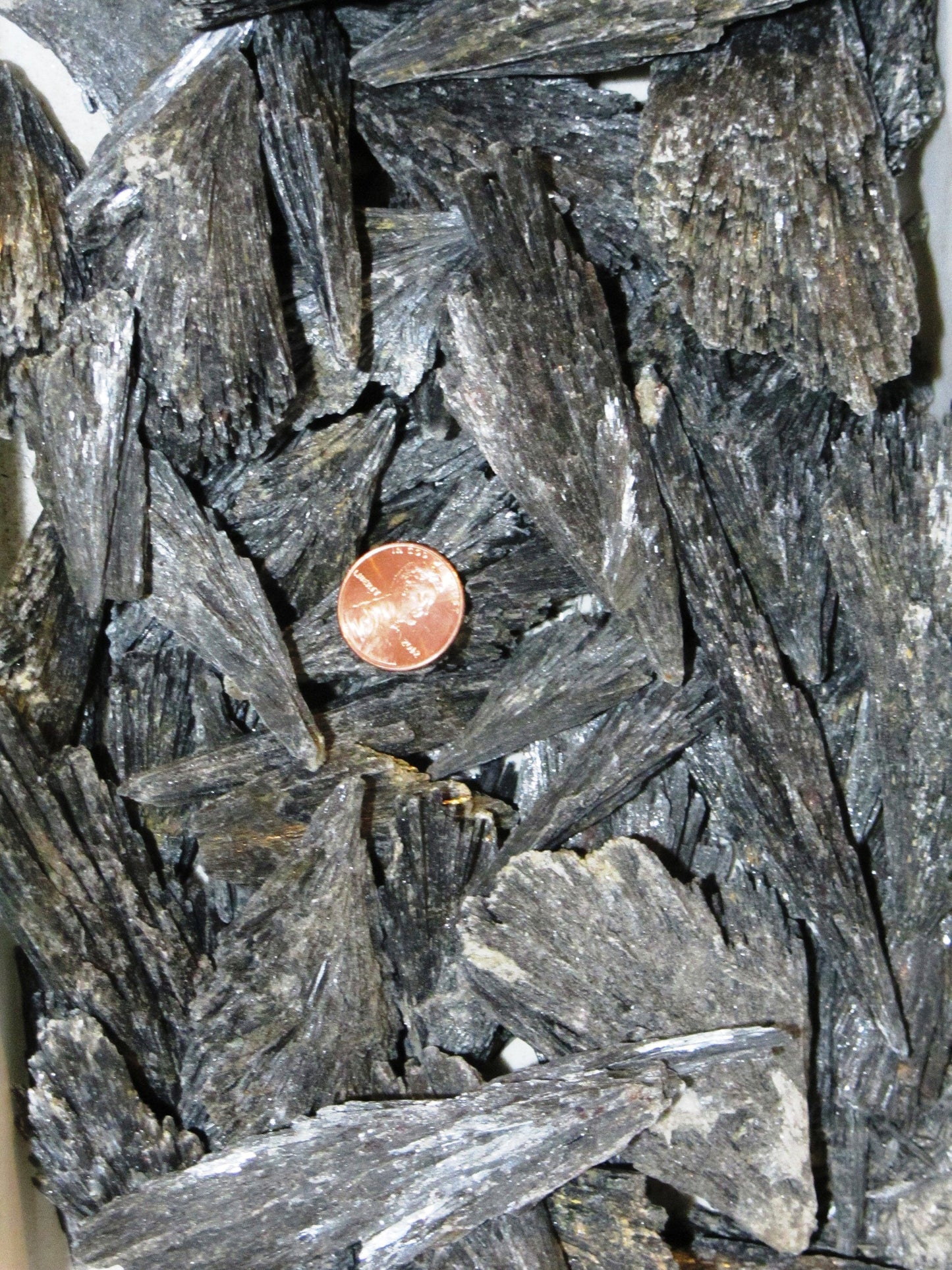 Black Kyanite Specimens 1 Pound